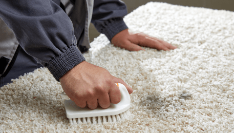 Professional Rug Cleaning Shoreham